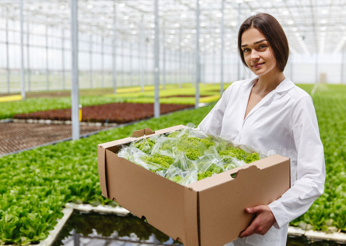 Fresh produce including vibrant spices, fruits, and vegetables