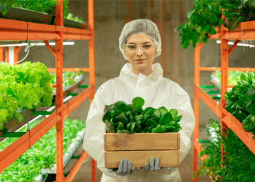 Fresh produce including vibrant spices, fruits, and vegetables